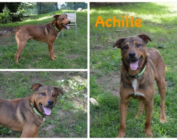 Achille