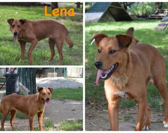 Lena