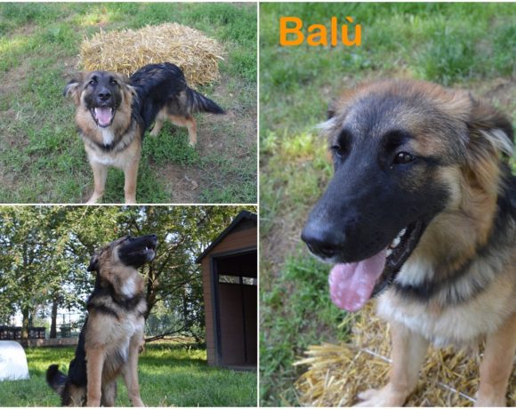 Balù