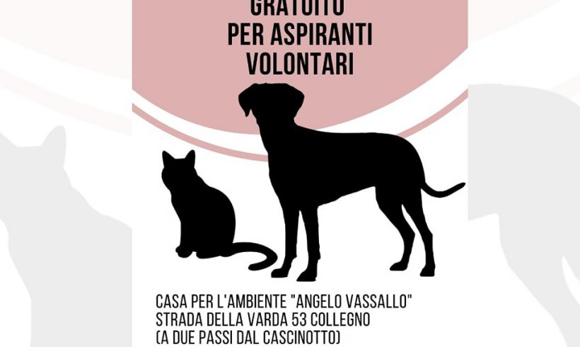 Corso per diventare volontario: ti aspettiamo!