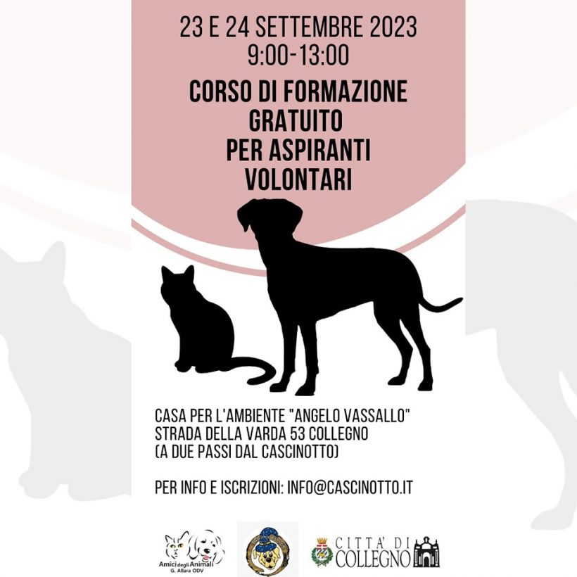 Corso per diventare volontario: ti aspettiamo!