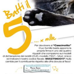 5 X mille al Cascinotto di Collegno. Ecco come fare! 5 X mille al Cascinotto di Collegno. Ecco come fare!