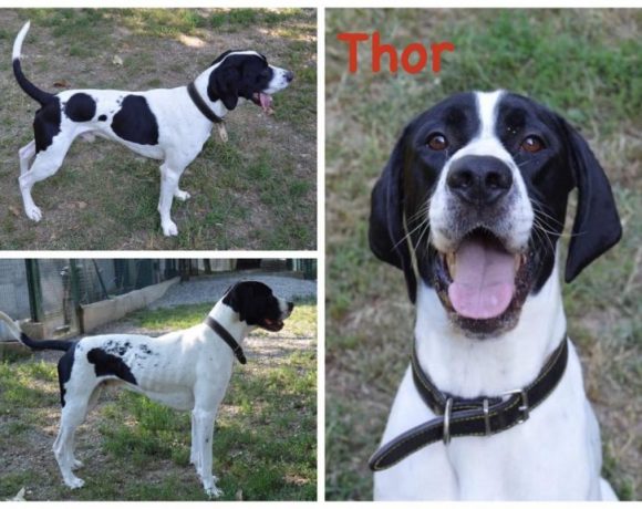 Thor