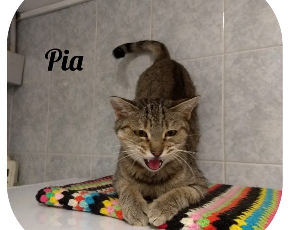 Pia