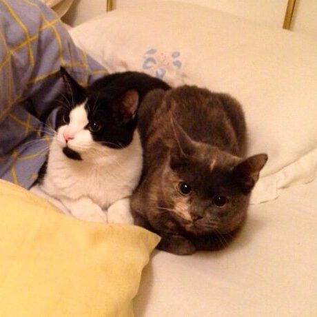 Lilu e Cocco