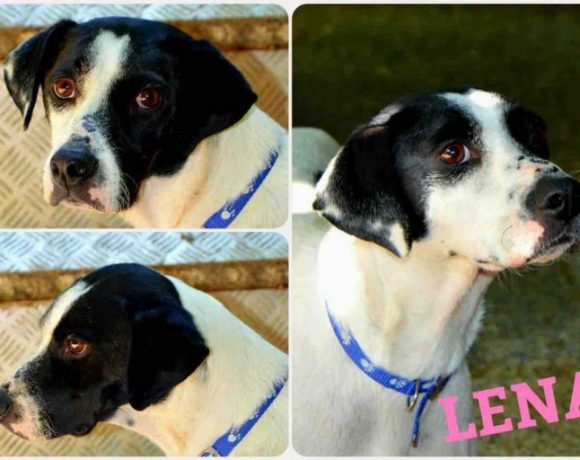 Lena