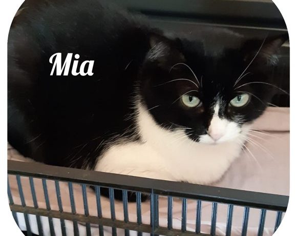 Mia