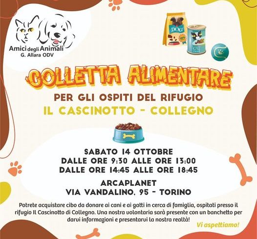 Colletta alimentare sabato 14 ottobre 2023. Vi aspettiamo!