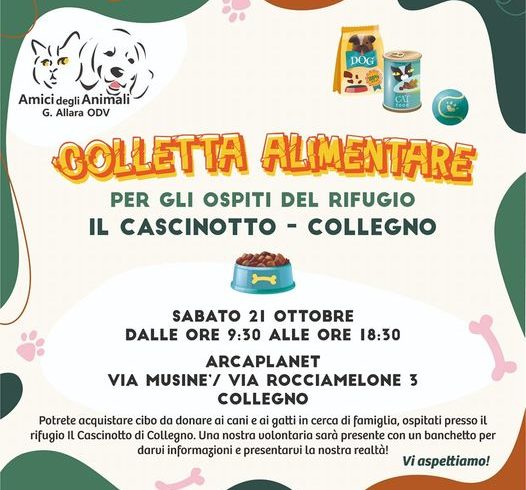 Colletta alimentare sabato 21 ottobre 2023. Vi aspettiamo!