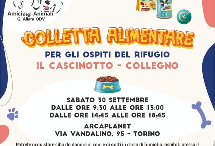 Colletta alimentare sabato 30 settembre 2023. Vi aspettiamo!