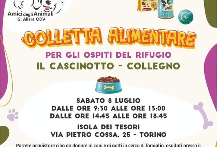 Colletta alimentare sabato 8 luglio 2023