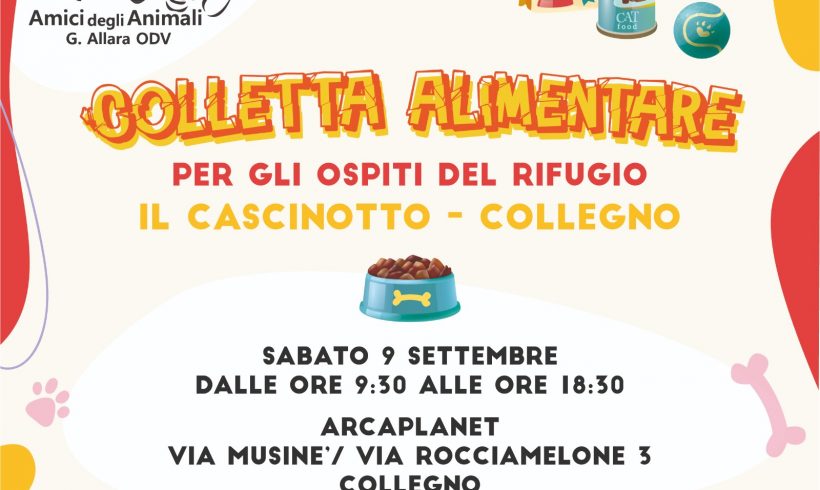 Colletta alimentare 9 settembre, vi aspettiamo!