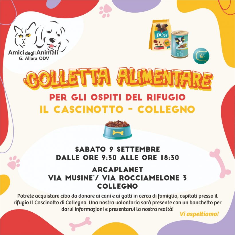 Colletta alimentare 9 settembre, vi aspettiamo!