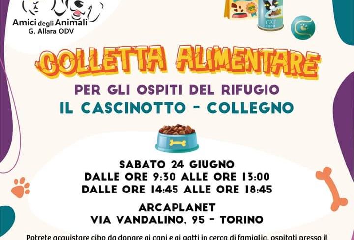 Colletta sabato 24 giugno. Vi aspettiamo!