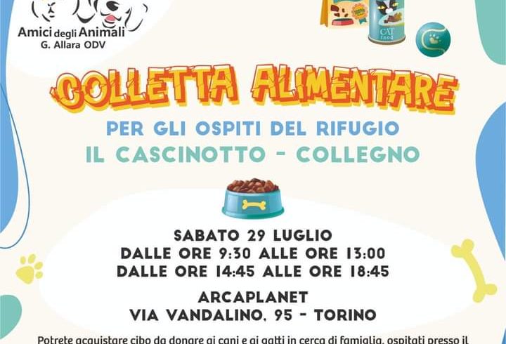 Colletta alimentare sabato 29 luglio 2023