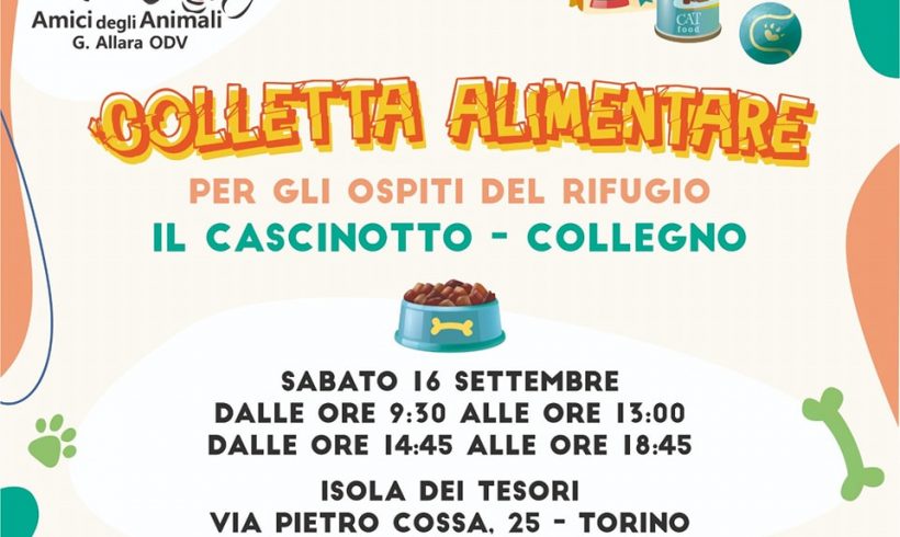 Colletta alimentare sabato 16 settembre 2023. Vi aspettiamo!