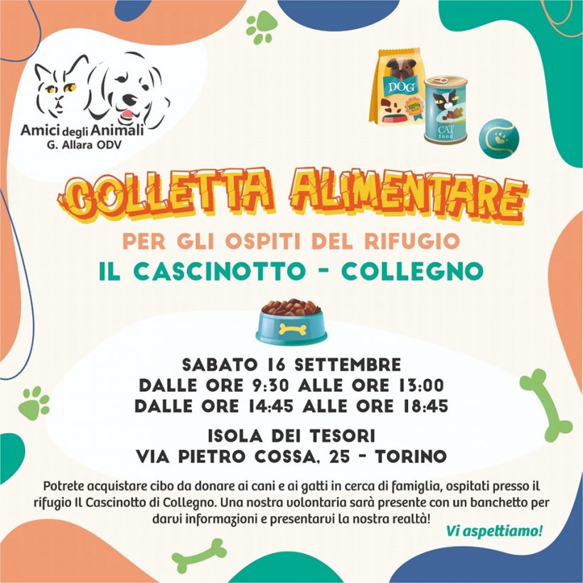 Colletta alimentare sabato 16 settembre 2023. Vi aspettiamo!