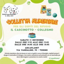 Colletta alimentare 11 novembre 2023. Vi aspettiamo!