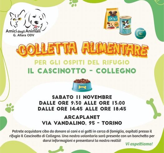 Colletta alimentare 11 novembre 2023. Vi aspettiamo!