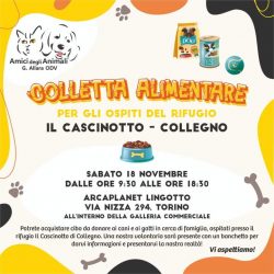 Colletta alimentare 18 novembre 2023. Vi aspettiamo!