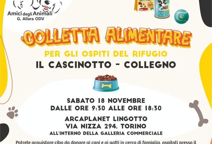 Colletta alimentare 18 novembre 2023. Vi aspettiamo!