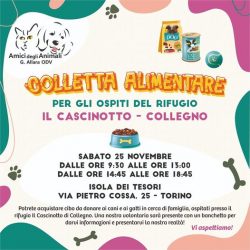 Colletta alimentare 25 novembre 2023. Vi aspettiamo!