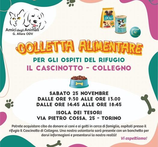 Colletta alimentare 25 novembre 2023. Vi aspettiamo!