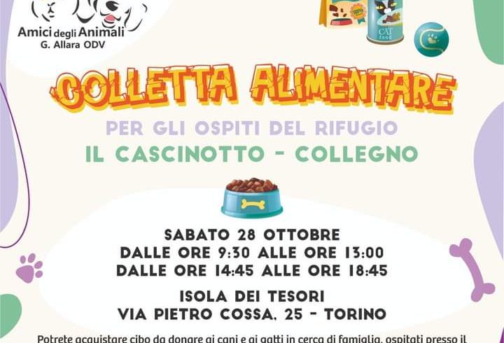 Colletta alimentare 28 ottobre 2023. Vi aspettiamo!