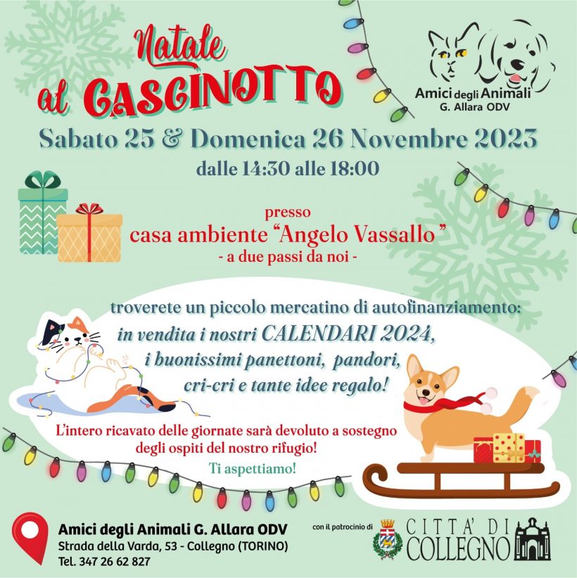 Arriva la festa di Natale del Cascinotto! Vi aspettiamo sabato 25 e domenica 26 novembre!