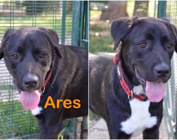 Ares