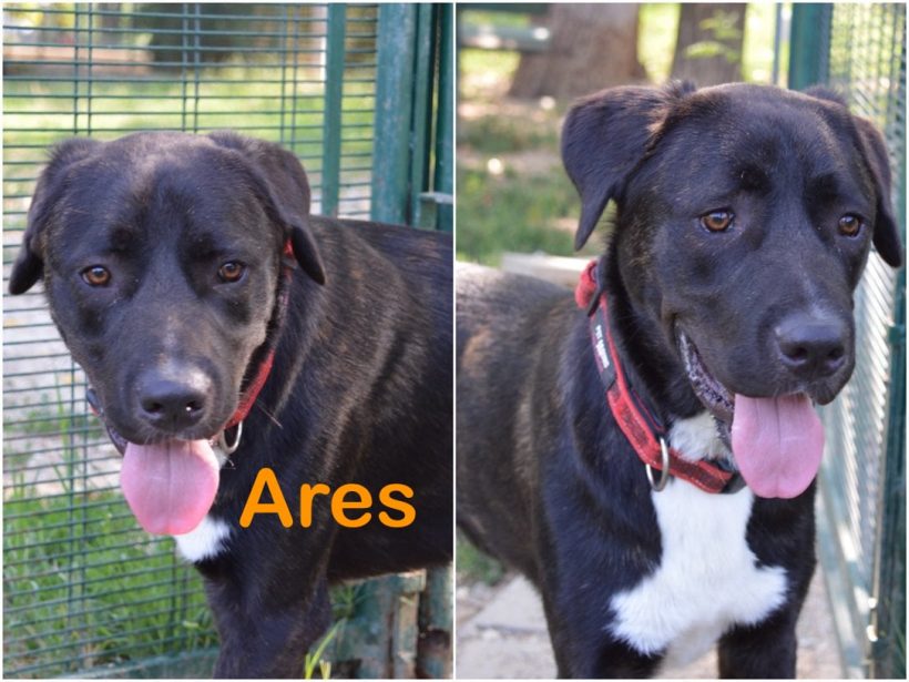 Ares