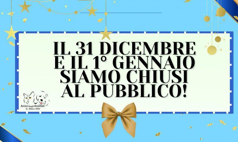 Chiusura al pubblico domenica 31 dicembre e lunedì 1 gennaio