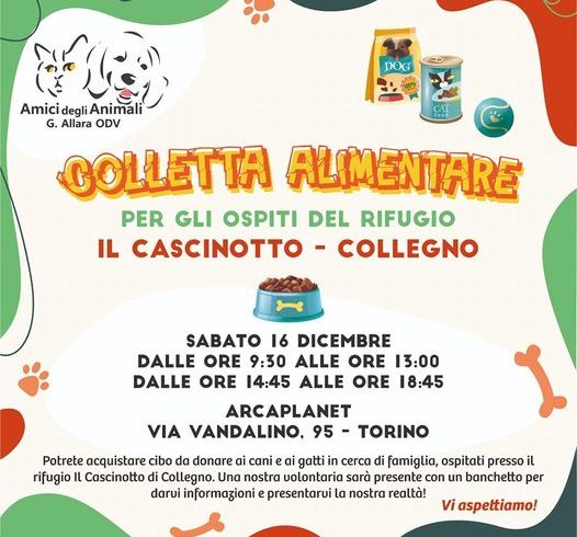 Colletta alimentare sabato 16 dicembre. Vi aspettiamo!