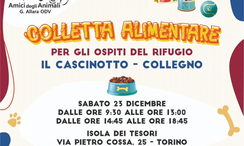 Colletta alimentare sabato 23 dicembre. Vi aspettiamo!