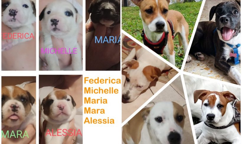 Federica Michelle Maria Mara Alessia