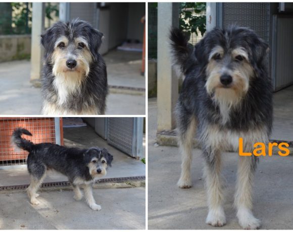 Lars