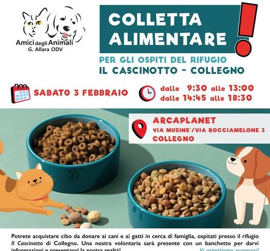 Colletta alimentare sabato 3 febbraio. Vi aspettiamo!