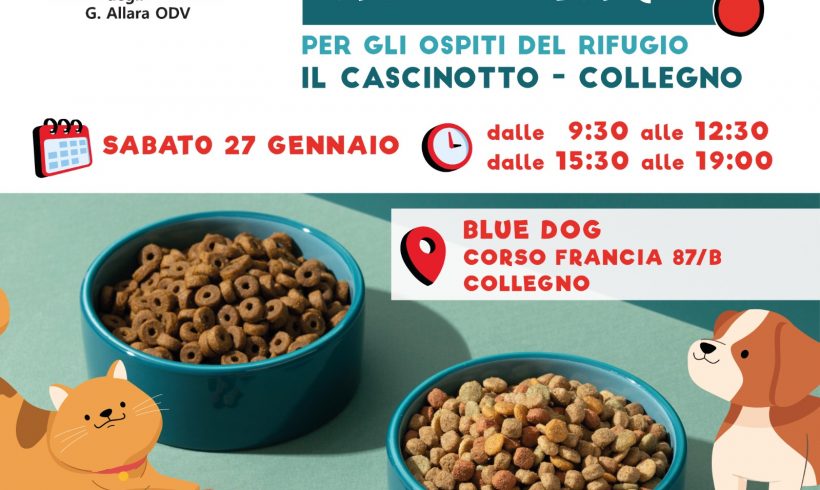 Colletta alimentare sabato 27 gennaio a Collegno. Vi aspettiamo!