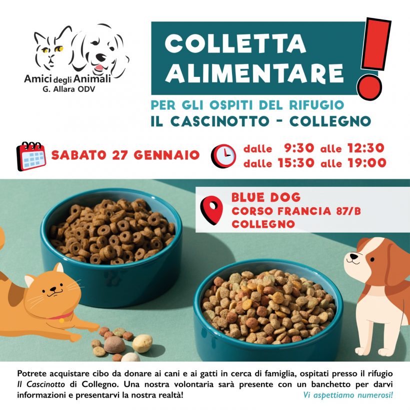 Colletta alimentare sabato 27 gennaio a Collegno. Vi aspettiamo!