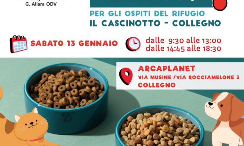 Colletta alimentare sabato 13 gennaio a Collegno. Vi aspettiamo!