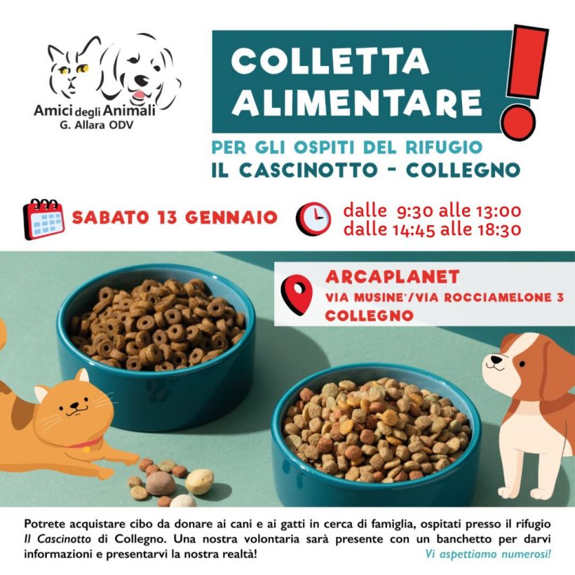 Colletta alimentare sabato 13 gennaio a Collegno. Vi aspettiamo!