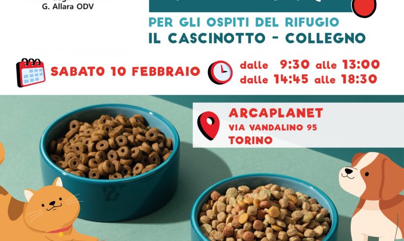 Colletta alimentare sabato 10 febbraio. Vi aspettiamo!