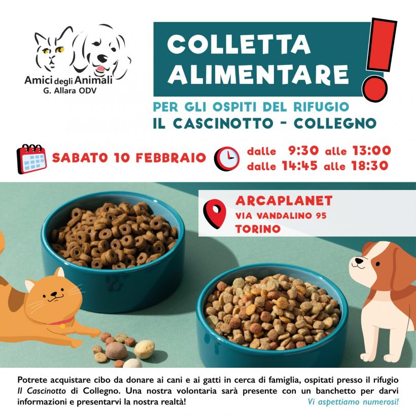 Colletta alimentare sabato 10 febbraio. Vi aspettiamo!