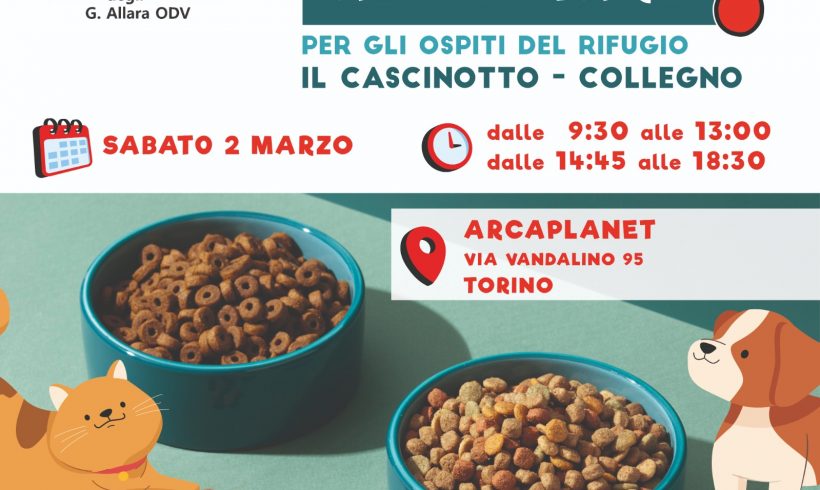 Colletta alimentare sabato 2 marzo. Vi aspettiamo!