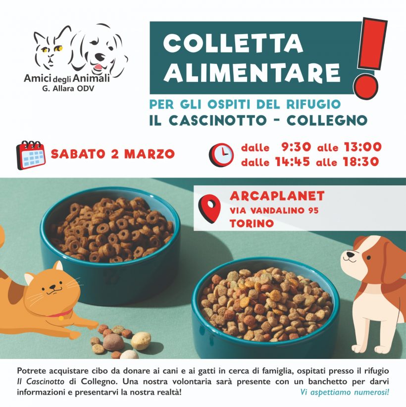 Colletta alimentare sabato 2 marzo. Vi aspettiamo!