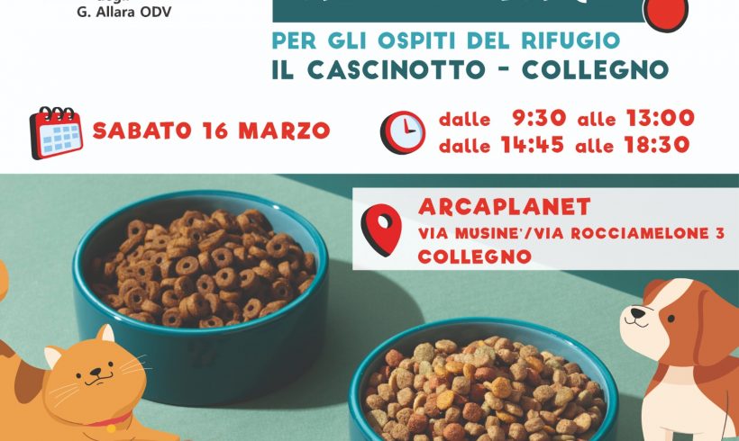 Colletta alimentare sabato 16 marzo. Vi aspettiamo!