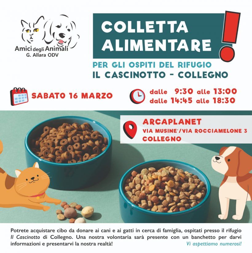 Colletta alimentare sabato 16 marzo. Vi aspettiamo!