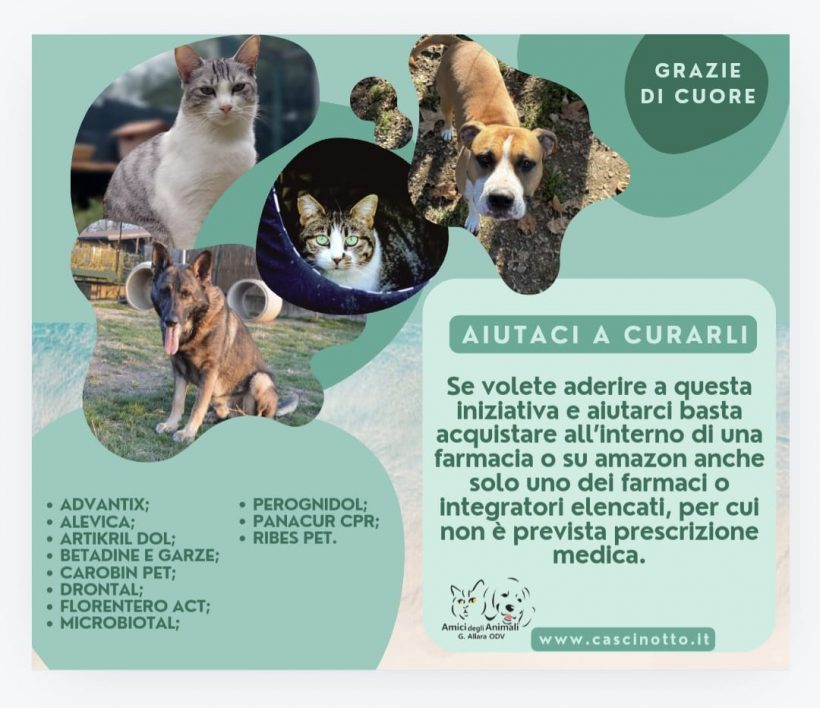 Aiutaci a curarli!