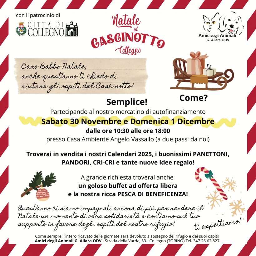 Festa di Natale del Cascinotto sabato 30/11 e domenica 1/12. Vi aspettiamo numerosi!