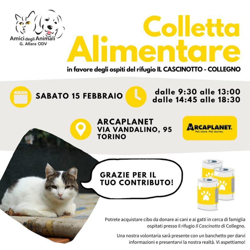 Colletta alimentare sabato 15 febbraio. Vi aspettiamo!